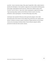 Pinigų srautų judėjimo analizė ir prognozės 14 puslapis