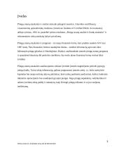 Pinigų srautų judėjimo analizė ir prognozės 2 puslapis