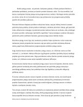 Pinigų srautų judėjimo analizė ir prognozės 7 puslapis