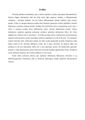 Pirminiai apskaitos dokumentai 2 puslapis