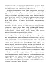 Pirminiai apskaitos dokumentai 11 puslapis