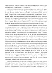 Pirminiai apskaitos dokumentai 17 puslapis