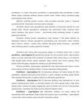 Pirminių apskaitos dokumentų apžvalga 11 puslapis