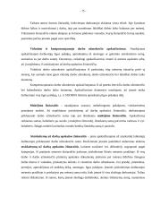 Pirminių apskaitos dokumentų apžvalga 15 puslapis