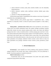 Pirminių apskaitos dokumentų apžvalga 18 puslapis
