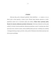 Pirminių apskaitos dokumentų apžvalga 3 puslapis
