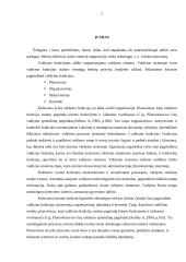 Planavimo funkcijos turinys ir reikšmė 2 puslapis