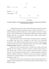 Planavimo funkcijos turinys ir reikšmė 12 puslapis