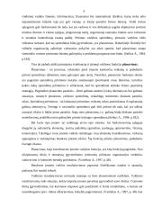 Planavimo funkcijos turinys ir reikšmė 4 puslapis
