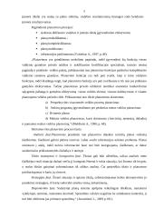 Planavimo funkcijos turinys ir reikšmė 5 puslapis