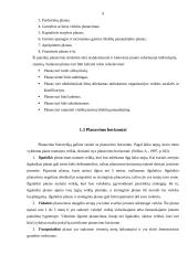 Planavimo funkcijos turinys ir reikšmė 9 puslapis