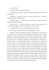 Platono ir Aristotelio teisingumo sampratos 2 puslapis