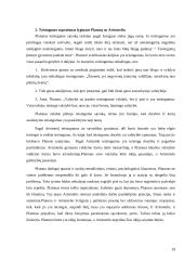 Platono ir Aristotelio teisingumo sampratos 19 puslapis