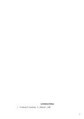 Plotų matavimo būdai 5 puslapis