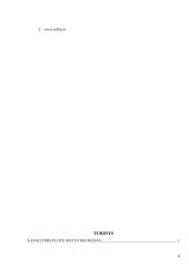 Plotų matavimo būdai 6 puslapis