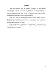 Poilsio laiko svarba 3 puslapis