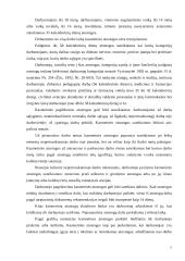 Poilsio laiko svarba 7 puslapis