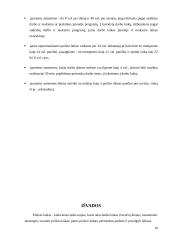 Poilsio laiko svarba 10 puslapis