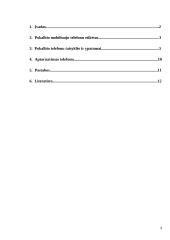 Pokalbio telefonu etiketas 2 puslapis