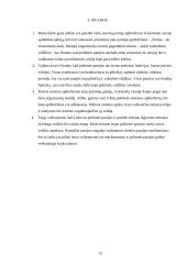 Politinės partijos ir partinių sistemų klasifikacija 12 puslapis