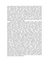 Popierius. Popieriaus istorija 3 puslapis