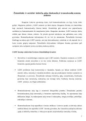 Požiūriai į seksualines mažumas Lietuvoje 3 puslapis