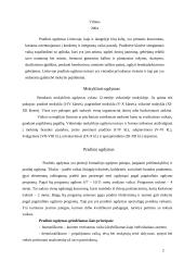 Pradinis ugdymas Lietuvoje 2 puslapis