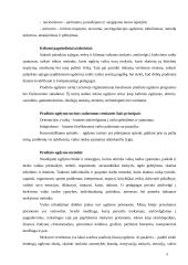 Pradinis ugdymas Lietuvoje 3 puslapis