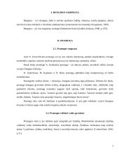 Pramoginio renginio scenarijus 4 puslapis