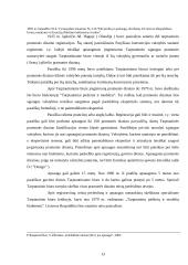 Pramoninio dizaino teisinė apsauga 13 puslapis