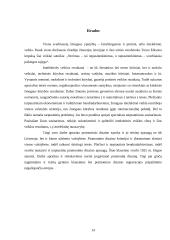 Pramoninio dizaino teisinė apsauga 14 puslapis