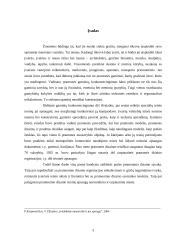 Pramoninio dizaino teisinė apsauga 3 puslapis