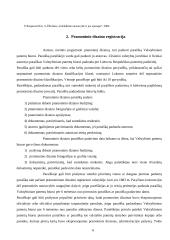 Pramoninio dizaino teisinė apsauga 6 puslapis