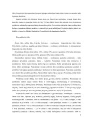 Prancūzijos ekonominė  analizė 9 puslapis