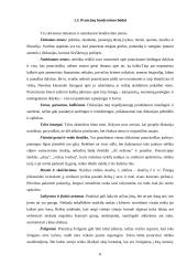 Prancūzijos kultūros ypatumai 8 puslapis