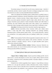 Prancūzijos kultūros ypatumai 10 puslapis