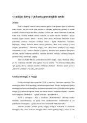Graikų geneologinis medis 2 puslapis
