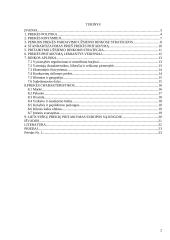 Prekės pritaikymas užsienio rinkoje 2 puslapis