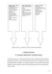 Prekės pritaikymas užsienio rinkoje 13 puslapis