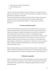 Prekės pritaikymas užsienio rinkoje 15 puslapis