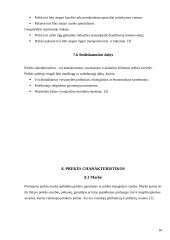 Prekės pritaikymas užsienio rinkoje 16 puslapis