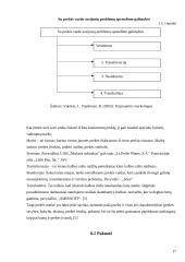 Prekės pritaikymas užsienio rinkoje 17 puslapis