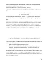 Prekės pritaikymas užsienio rinkoje 20 puslapis