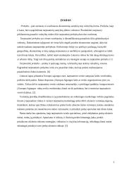 Prekės pritaikymas užsienio rinkoje 3 puslapis