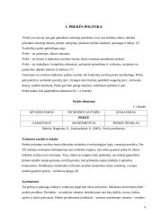 Prekės pritaikymas užsienio rinkoje 4 puslapis