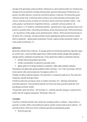 Prekės pritaikymas užsienio rinkoje 5 puslapis