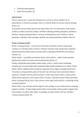 Prekės pritaikymas užsienio rinkoje 6 puslapis