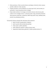 Prekės pritaikymas užsienio rinkoje 9 puslapis