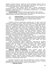 Prekybos samprata, jos sritys ir rūšys 10 puslapis