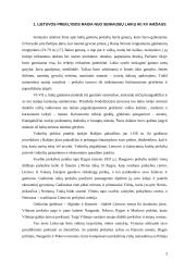 Prekybos raida Lietuvoje 3 puslapis